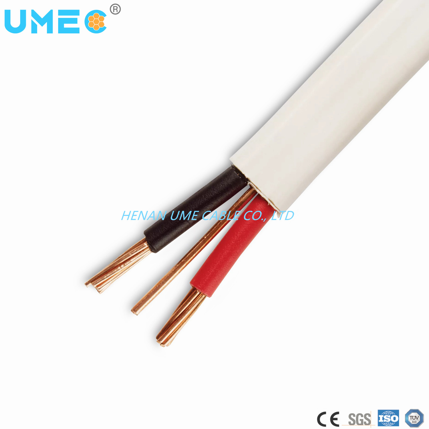 China 
                Conductor eléctrico de cobre PVC aislado cable revestido BVVB
              fabricante y proveedor
