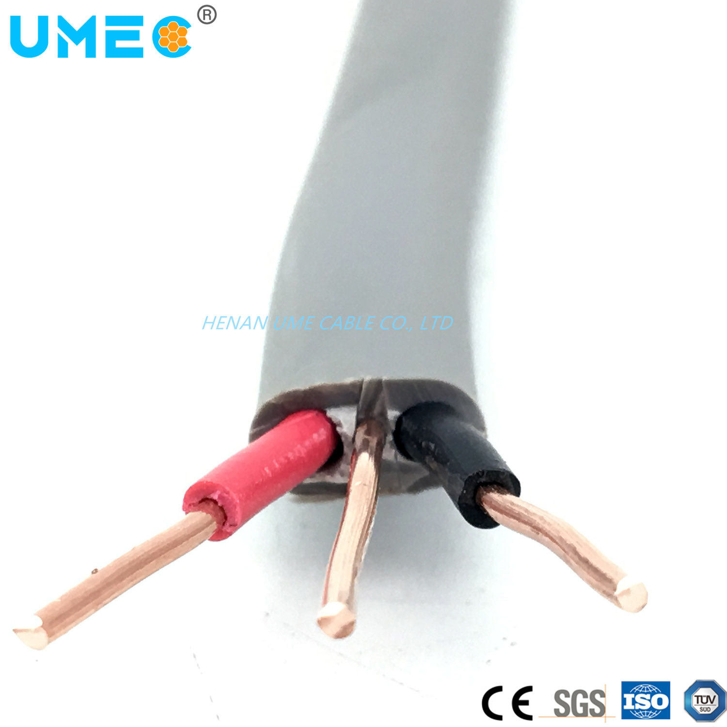 IEC Standard BVVB+E PVC Flat Cable 1sqmm1.5sqmm 2.5sqmm 4.0sqmm Twin and Earth Flat Wire TPS Myym Electric Cable
