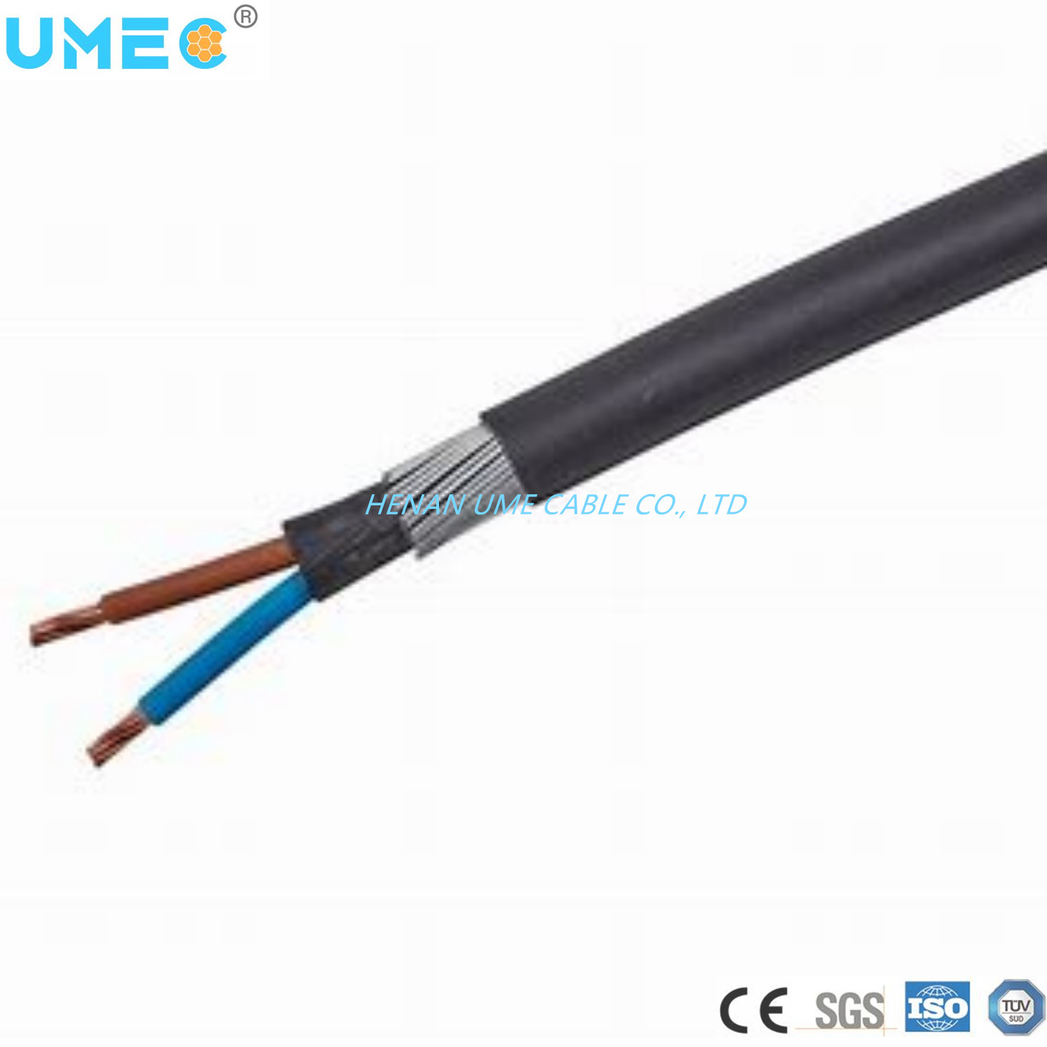 China 
                LV 0.6/1kv Conductor de acero PVC Cable Swa
              fabricante y proveedor