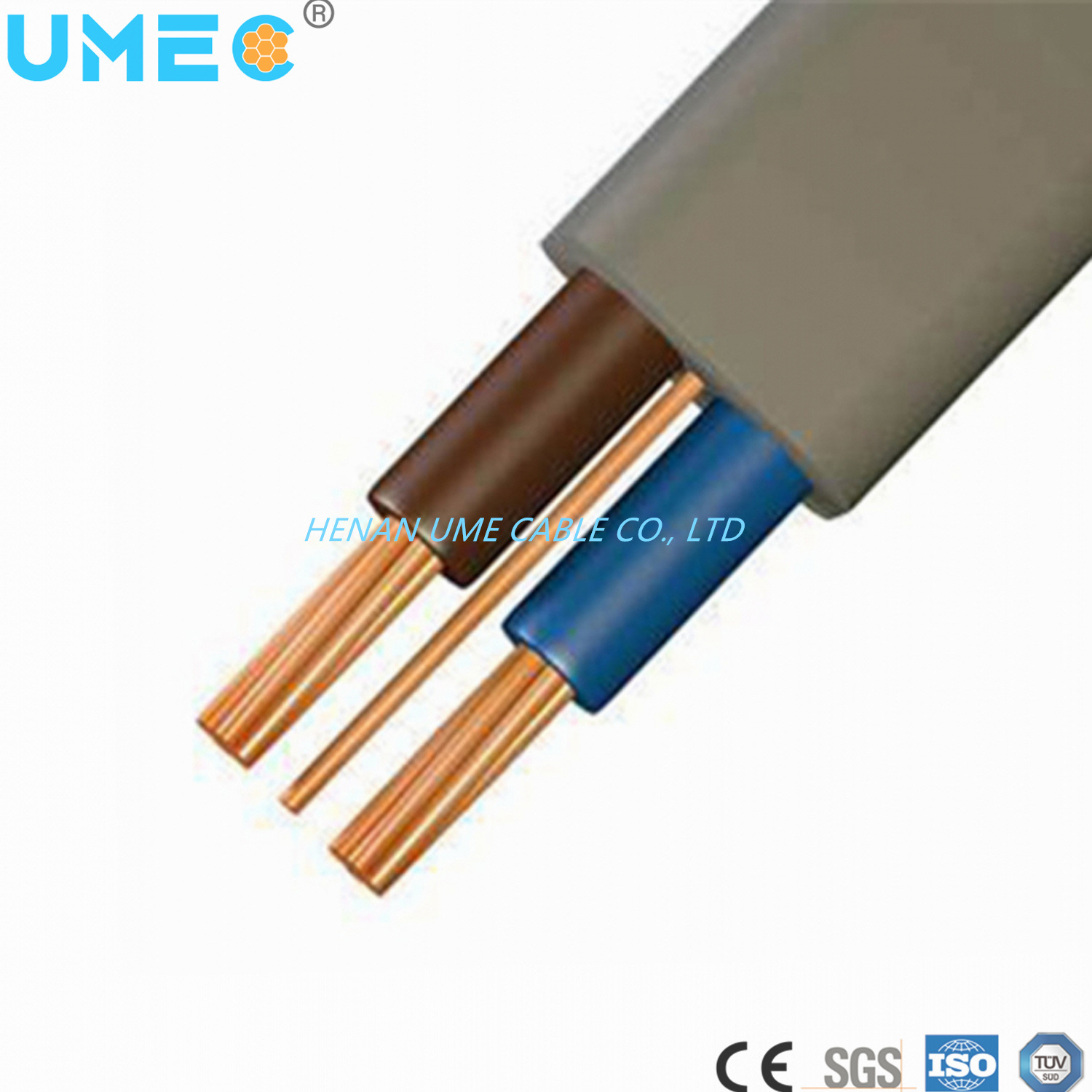 LV Flat Twin & Earth Wire 6242y Power Cable Copper Conductor Power Cable PVC Wire for Buliding
