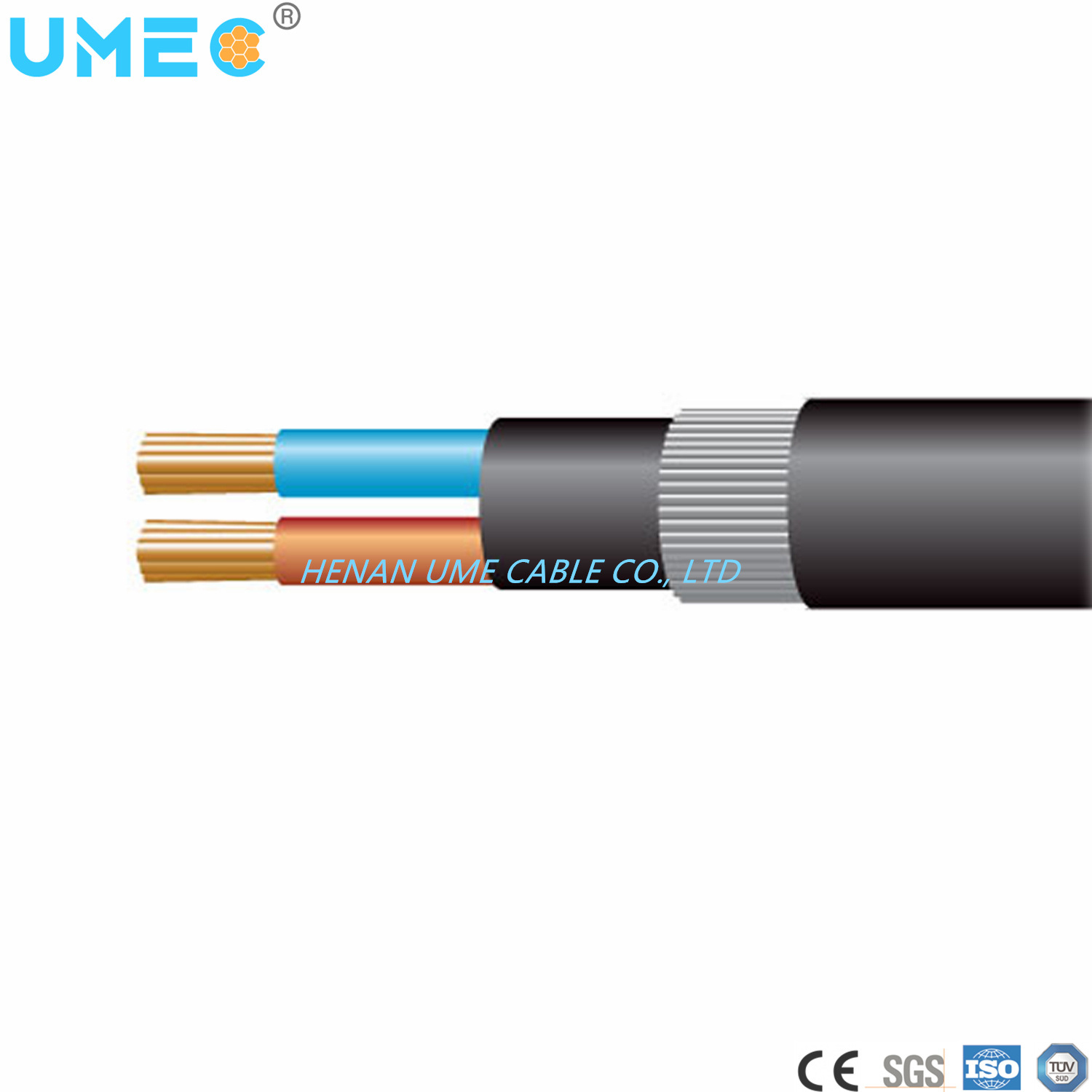China 
                Niederspannungs-Stahldraht-bewehrtes Netzkabel, XLPE-Isolierung, SWA Kabel IEC60228 Stromkabel Elektrokabel
              Herstellung und Lieferant