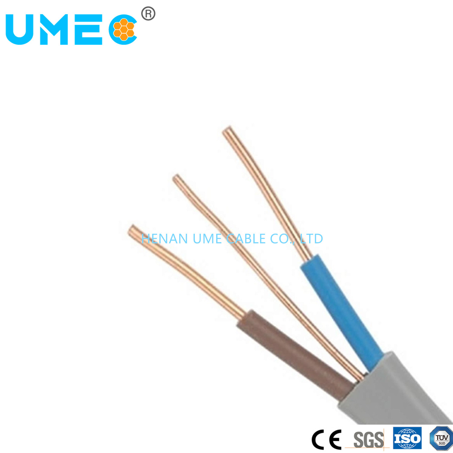 Low Voltage Twin and Earth Wires 6242y Flat Cable PVC Insulated Earth Wire 6242y PVC Wire for Buliding