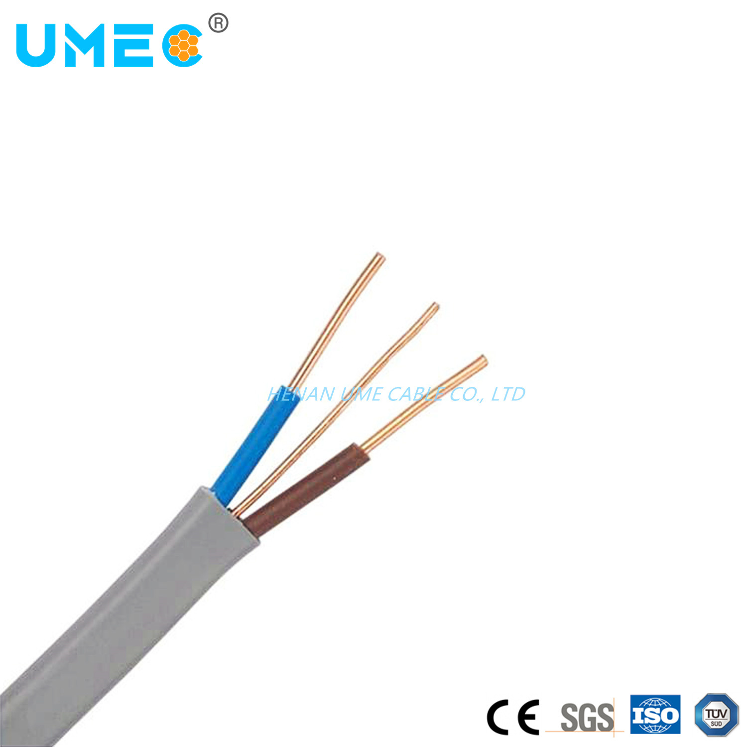 China 
                Wholesale BVVB Blvvb and Earth Bare Copper Wire Solid Copper Conductor PVC Sheath Multi-Core Cables 3X0.75 3X1.0 3X1.5 3X2.5sqmm
              manufacture and supplier