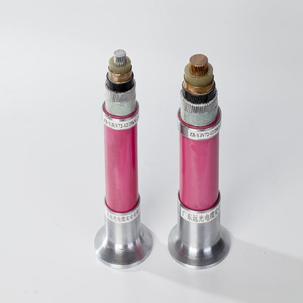 China 
                        0.6/1kv 1cx50mm2 Copper Conductor PVC Insulated PVC Shielded Power Cable
                      manufacture and supplier