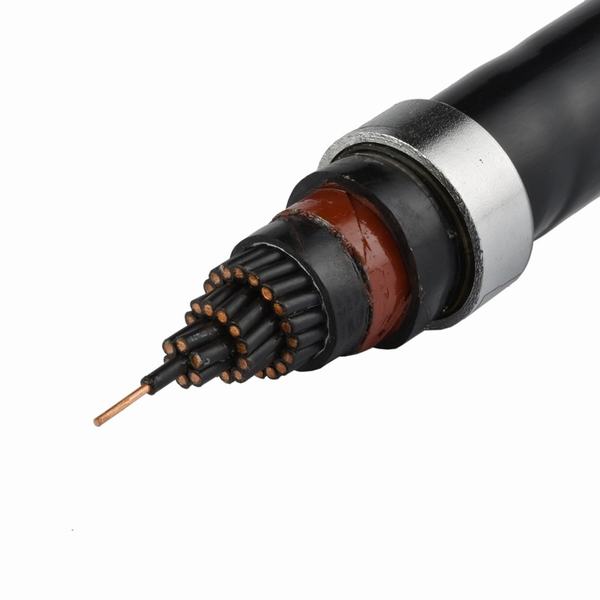 Control Cable with PVC Insulation and PVC Sheath Braided Shielding (KVV, KVVP)