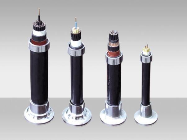 China 
                        Multi Cores Cable Control Cable, XLPE Cable, Power Cable, Electric Wire
                      manufacture and supplier