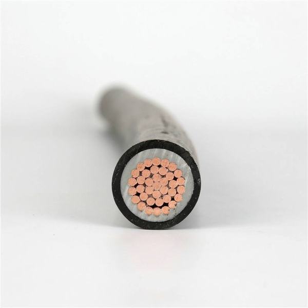 Single Core 2 3 4 5 Cores XLPE Insualted Copper Wire Armour Aluminum Electrical Power Cable