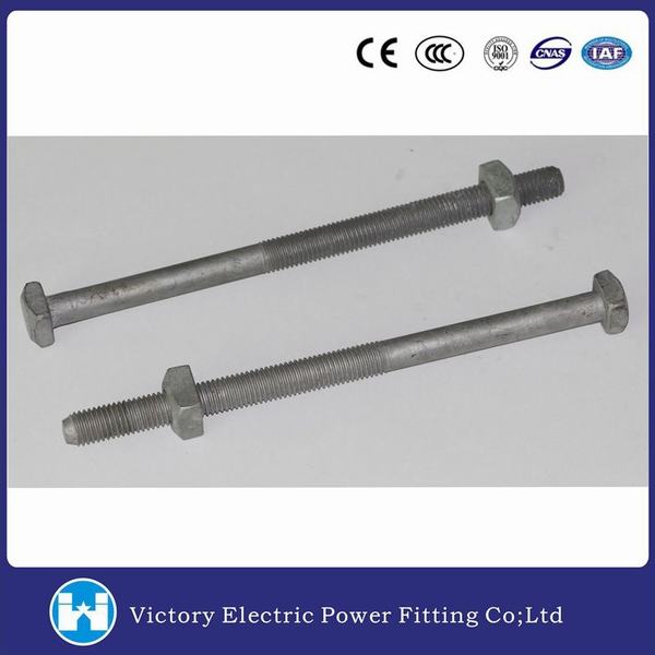 China 
                                 3/4 de pulgada de diámetro galvanizar tornillo de la máquina                              fabricante y proveedor