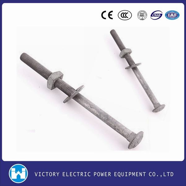 China 
                        ANSI Carriage Bolt Hot DIP Galvanized
                      manufacture and supplier