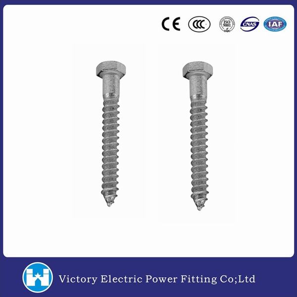 China 
                        Hot DIP Galvanized Hexagon Lag Screw
                      manufacture and supplier