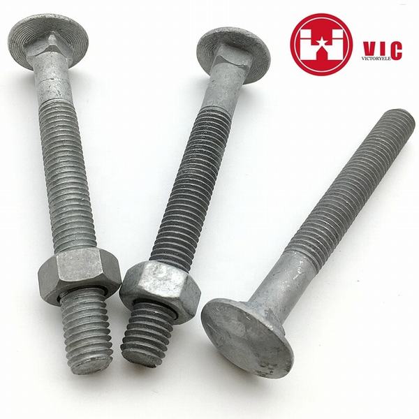 OEM Hot DIP Galvanized Carriage Bolts