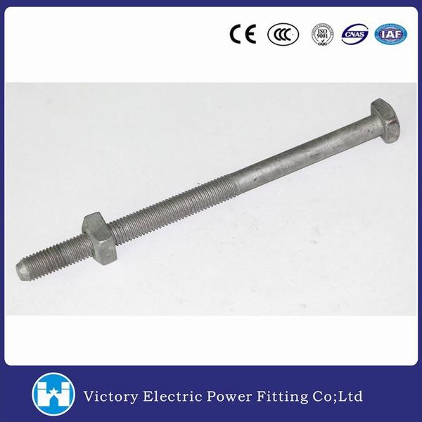 China 
                        Pole Line Hardware Fittings Galvanzied Square Head Machine Bolt
                      manufacture and supplier