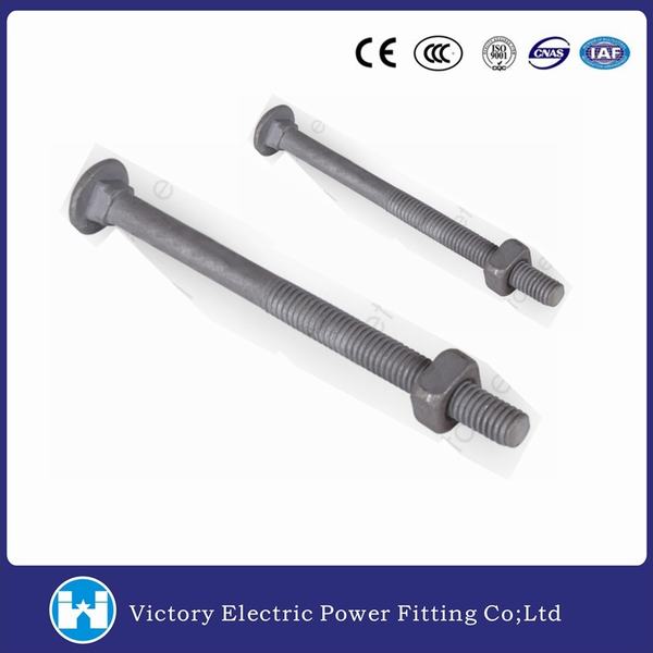 China 
                        Pole Line Hardware Galvanized Round Head Carriage Bolt
                      manufacture and supplier