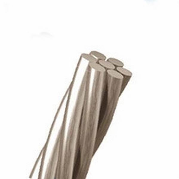 China 
                                 La norma ASTM B231 Desnudo toldo aluminio trenzado AAC Conductor de la adormidera                              fabricante y proveedor