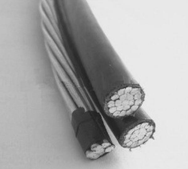 China 
                                 Obenliegendes Cable1+1 Kern-Leiter-Kabel ABC-XLPE Alumimium                              Herstellung und Lieferant