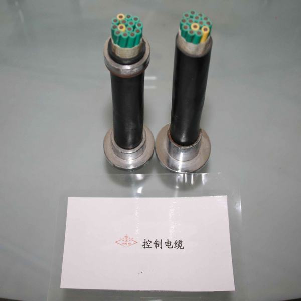 China 
                        Plastic Insulation Control Cable
                      manufacture and supplier