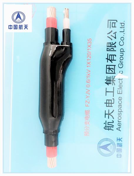 China 
                        Pre-Fabricated Branced Cable
                      manufacture and supplier