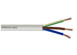 China 
                6181y / BS 6004 PVC Insulated 300/500V PVC Sheath 1.5mm2 2.5mm2 4mm2 Wires
              manufacture and supplier