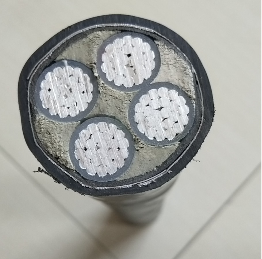 China 
                Cable eléctrico de alta temperatura resistente al agua y al aceite 300V 200c Resistencia cable de caucho de silicona
              fabricante y proveedor