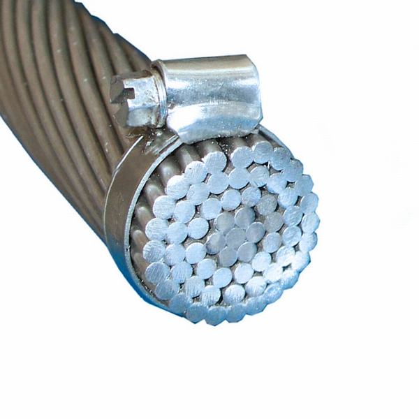 China 
                                 Cable de acero trenzado de aluminio conductor conductor desnudo                              fabricante y proveedor