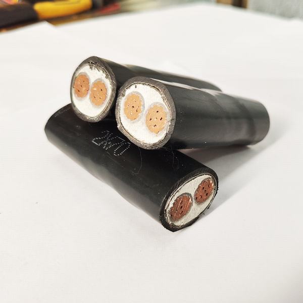 China 
                        Flexible Bare Copper PVC Sheath Power Electrical Multi Cores Electric Cable
                      manufacture and supplier
