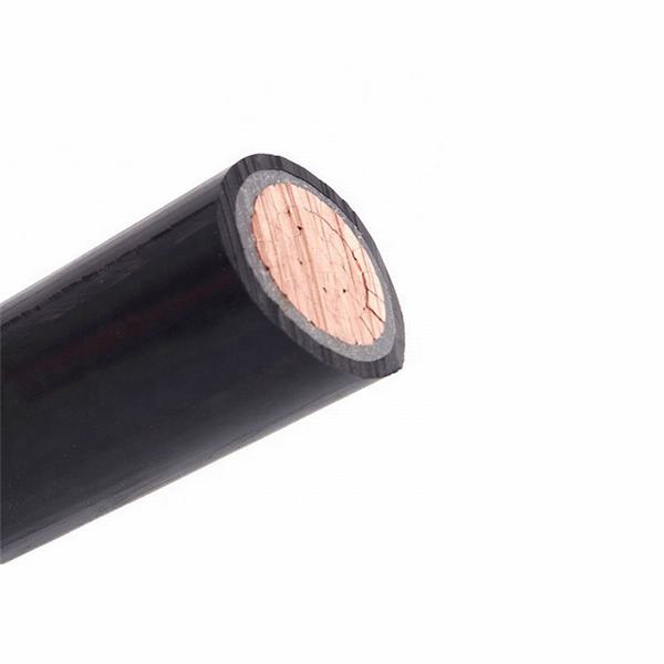 Low Voltage Rated Resistant Steel Armored/Unarmoured XLPE Insulation Sheathed Earth Wire Power Cable