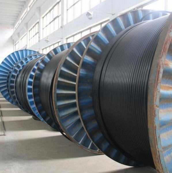 China 
                        Multi Core Flexible Copper Conductor Electric Wire and Cable
                      manufacture and supplier