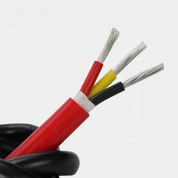 China 
                        XLPE Insulated, PVC Sheathed Power Cable
                      manufacture and supplier