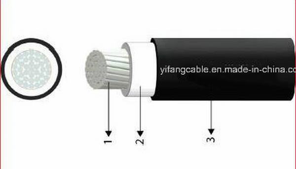 Chine 
                                 0.6/1 Kv Na2xy câble unipolaire                              fabrication et fournisseur