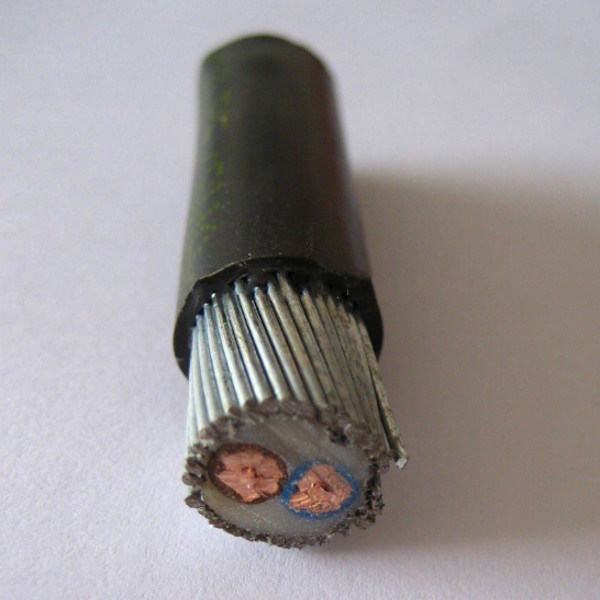 0.6/1kv Cable Cu/XLPE/Swa/PVC 2X16, 2X50, 2X70, 2X95, 2X120, 2X150, 2X185mm2