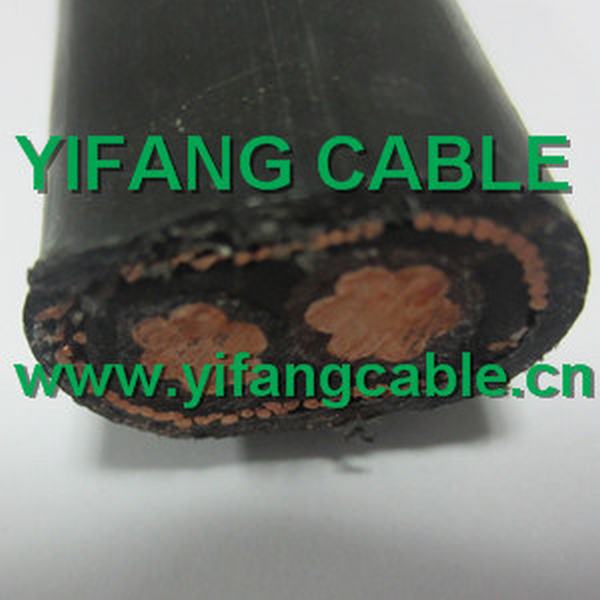 China 
                        0.6/1kv Electro Cable 8/2, 6/3AWG for Dominica
                      manufacture and supplier