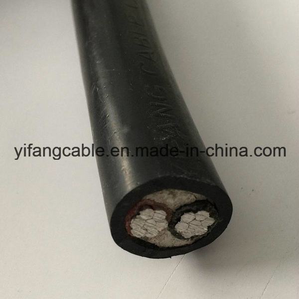Chine 
                                 Kv 0.6/1U-1000 RO2V, câble d'alimentation 3X2.5MM2                              fabrication et fournisseur