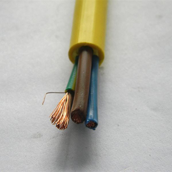 China 
                        1.5mm2, 10mm2, 16mm2 PVC Insulated and Jacket Flexible Cable
                      manufacture and supplier