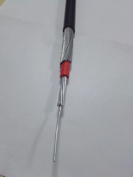 Chine 
                                 10 mm2 isolés en PVC le câble de service unique de la phase d'aluminium concentriques câble sans câble de communication en cuivre de deux coeurs                              fabrication et fournisseur