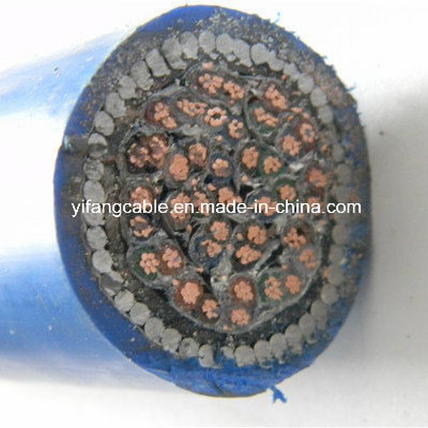 China 
                        1000V Copper Conductor XLPE Insulation PVC Sheath Instrument Cable
                      manufacture and supplier