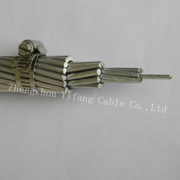 Cina 
                                 100mm2 Wasp All Aluminum Conductor, Bare (conduttore di AAC HD Bare)                              produzione e fornitore