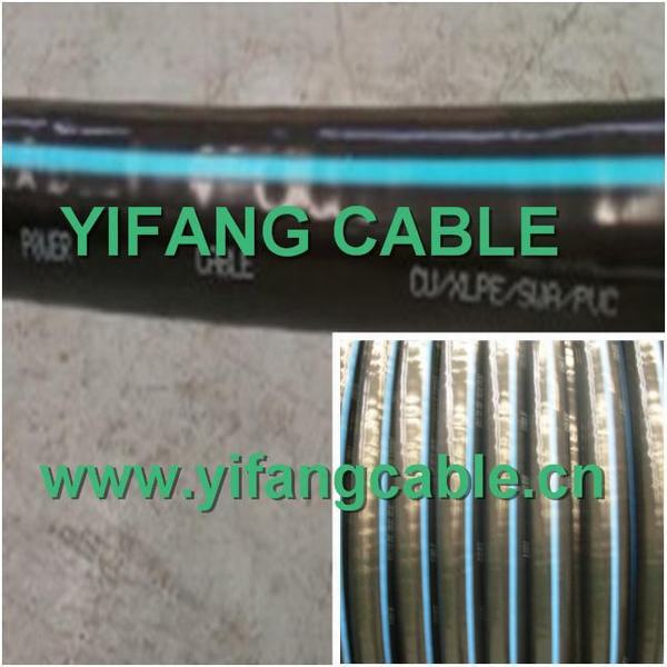 Chine 
                                 10kv, 11kv, Mv avec isolation XLPE 12kv Câble d'alimentation 1x150mm2                              fabrication et fournisseur