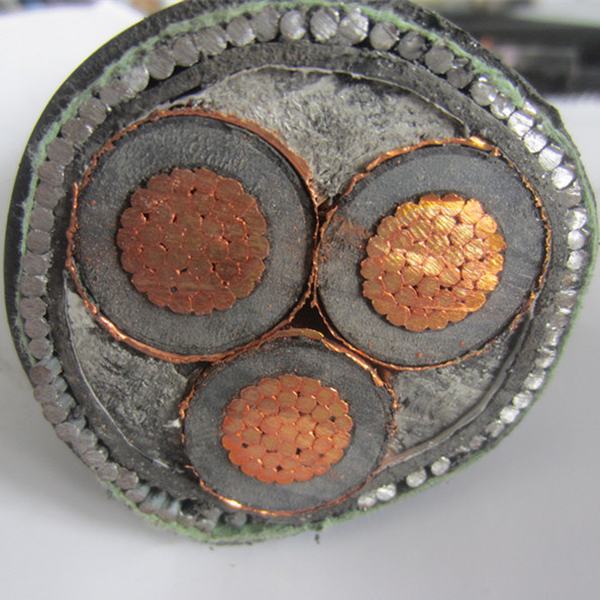 China 
                        11kv XLPE Insulated Cable, with or Without Armor
                      manufacture and supplier