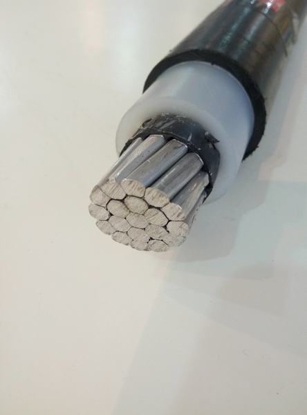 China 
                        15kv 25kv 35kv Al XLPE HDPE Tree Wire Cable 150 Sqmm 185 Sqmm
                      manufacture and supplier