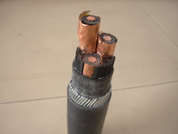 China 
                        15kv Shielded Powercable for Use in Thetransmission Anddistribution of Electricenergy
                      manufacture and supplier