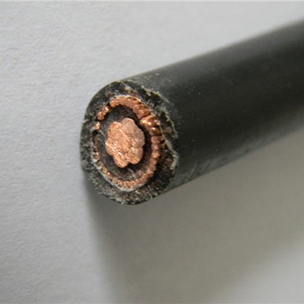 
                                 Проводник из бескислородной меди XLPE 1 кв короткого замыкания PE оболочки концентрической кабель                            