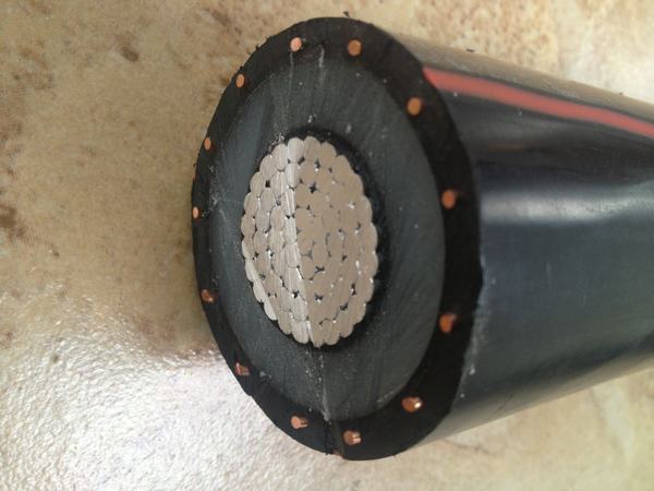 China 
                        25kv Concentric Neutral Cable. Copper Wire Screen 33% Neutral
                      manufacture and supplier