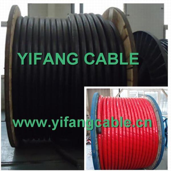 Chine 
                                 Câble de MV 25kv N2xy, Na2xy, N2xs2y, Na2xs2y, N2xsey                              fabrication et fournisseur