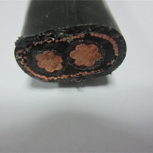 2X8 2X10 3X6 3X8 AWG XLPE Insulated Flat / Round Concentric Copper Cable