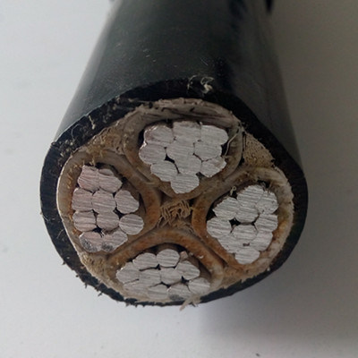 China 
                3 Core 4/0AWG Al Triplex XLPE 600V Low Voltage Cables 120 Sq mm 3.5 Core Aluminium Armoured Cable Price
              manufacture and supplier