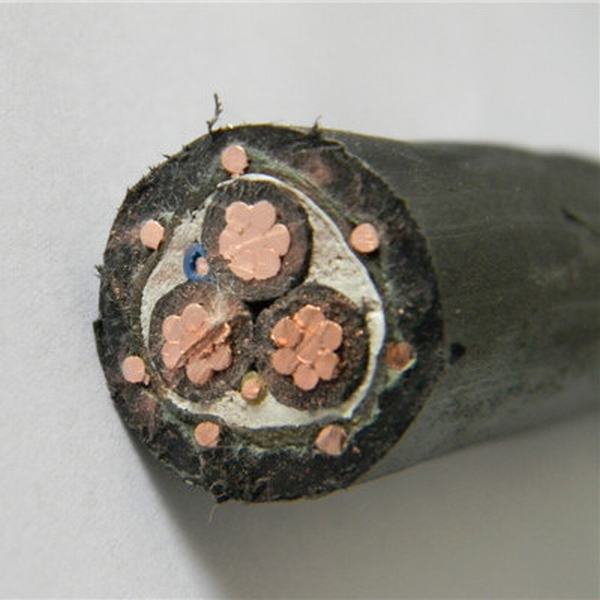 China 
                        3 Core Stranded Copper Conductor PVC Insulated Concentric Low Voltage Cable
                      manufacture and supplier