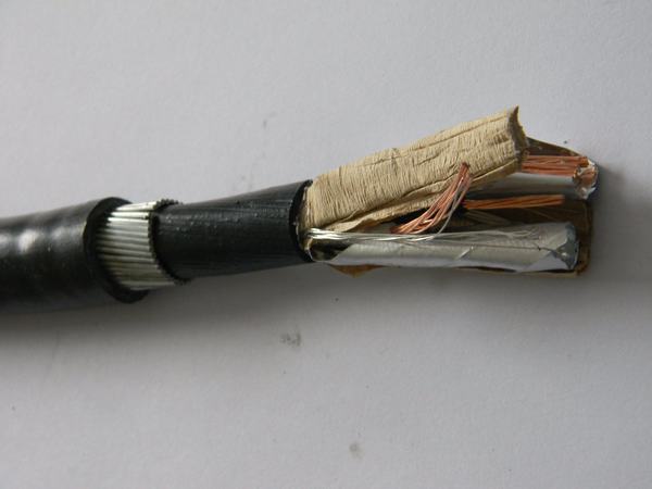 China 
                                 Kabel 1.5mm2 der Instrumentenausrüstungs-300/500V für analoges und Digital-Signal-Kabel                              Herstellung und Lieferant