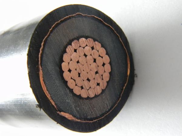 China 
                        33kv, Single Core or Three Core, Copper Wire, XLPE Insulation, Underground Power Cable
                      manufacture and supplier