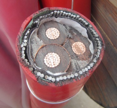 
                33kv conductor de cobre o aluminio de tres núcleos Swa Sta XLPE Cable de alimentación de media tensión blindado aislado
            