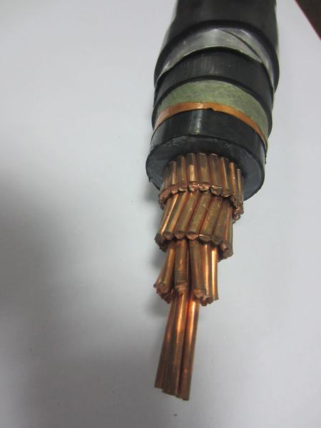 China 
                        35kv 1*500mm2 Copper Cable. Aluminum Alloy Wire Armoured
                      manufacture and supplier